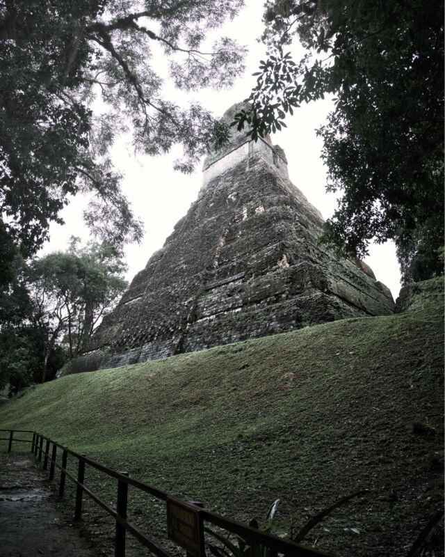 Tikal, Guatemala. 🏛️✨  Hogar de la antigua civilización maya, este sitio arqueológico te sumerge en un viaje en el tiempo. Camina entre templos imponentes y pirámides que cuentan historias de grandeza y misterio.  🌐 Fundada en el siglo VI a.C., Tikal alcanzó su apogeo en el período clásico maya, siendo una de las ciudades más influyentes de la región. Sus estructuras monumentales, como el Templo del Gran Jaguar y el Templo de las Máscaras, hablan del esplendor cultural y arquitectónico de la civilización maya.  🔍 Arqueólogos han desenterrado secretos asombrosos, revelando complejos sistemas de escritura, observatorios astronómicos y la sofisticación de su sociedad. Tikal no solo es un destino impresionante, sino un portal a un pasado fascinante.  #TikalHistory #MayaCivilization #GuatemalaAncientWonders #guatemala #guatemalaimpresionante #guatemalacom  #tikalnationalpark #cinematic #tikal #guatemalapower #tikalguatemala #hikingadventures #hikingculture  #uniladadventure #earthfocus #earthpix #voyaged @guateimpresionante  @guatemala  @visitguatemala_  @explorandoguatemala  @unilad  @inguatoficial